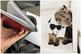 PSA: If Your Cat Pees on Your Passport, You Need to Fork Out RM400 to Replace it