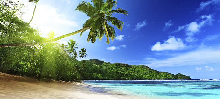 MY_AirMiles_blog01