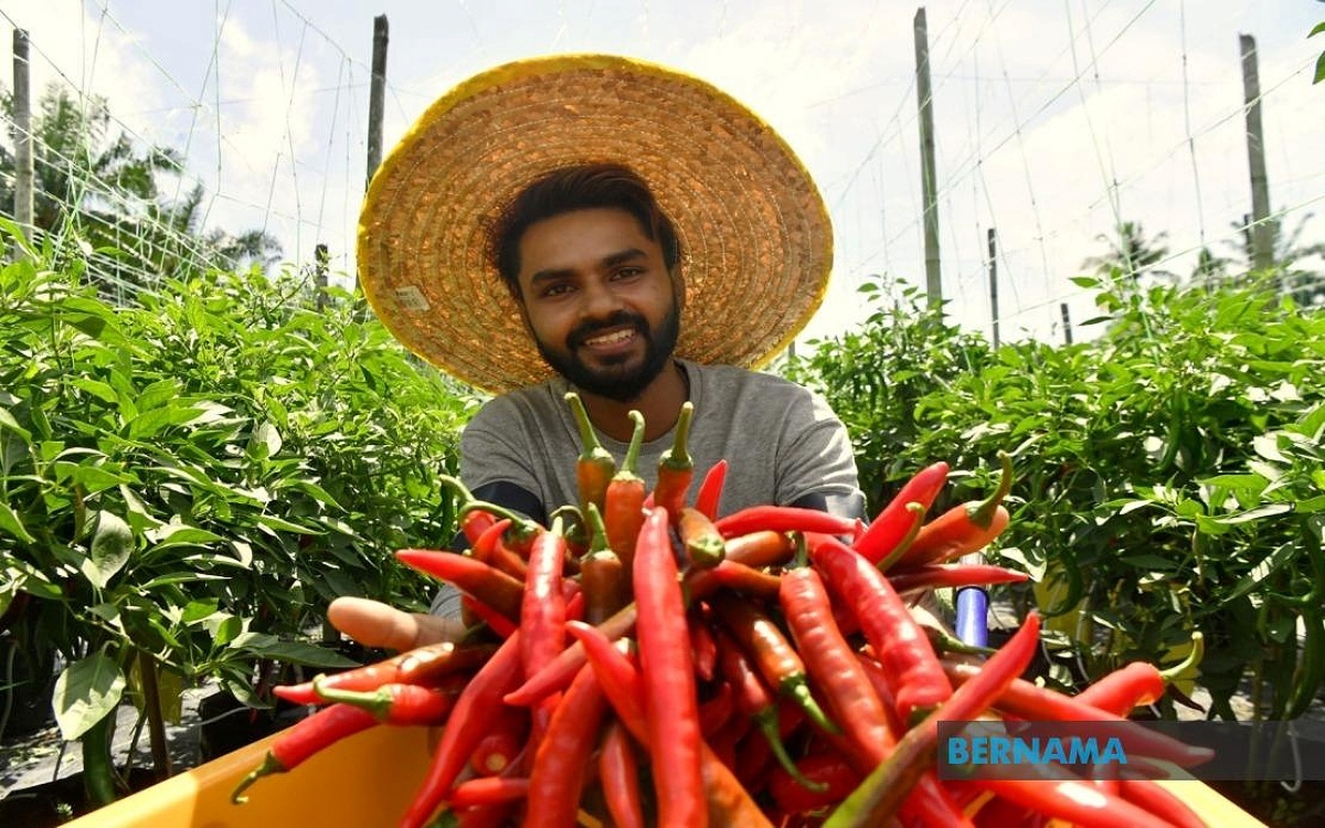 Computer to crops 1